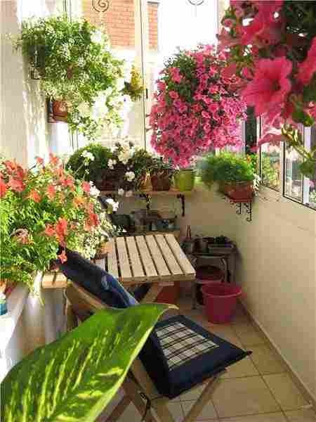 Цветы на балконе