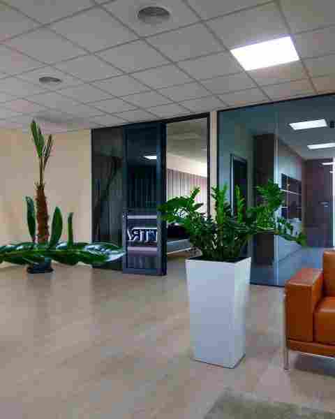 Гид по стеклянным дверям: виды, особенности монтажа, декорирования и ухода