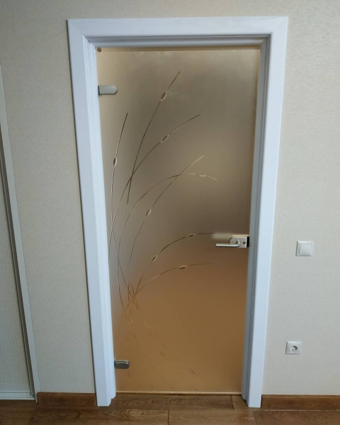 Гид по стеклянным дверям: виды, особенности монтажа, декорирования и ухода