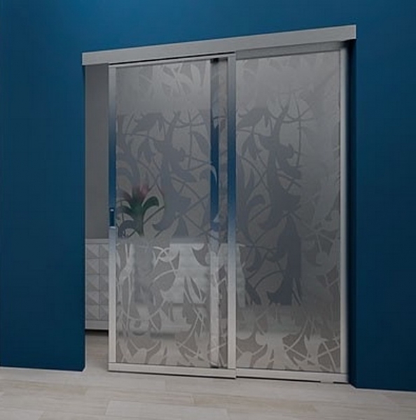 Гид по стеклянным дверям: виды, особенности монтажа, декорирования и ухода