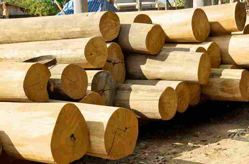 Антисептики для древесины: какие лучше и как ими пользоваться