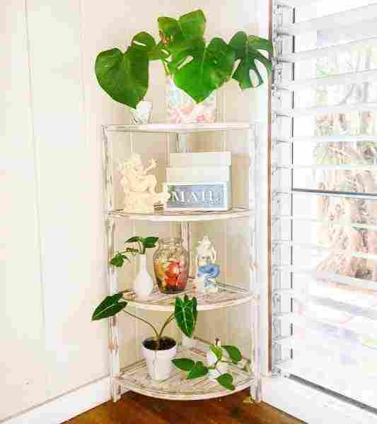 Во главе угла: 9 лучших идей для угловых полок