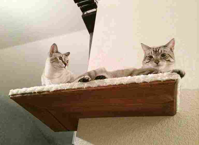 Во главе угла: 9 лучших идей для угловых полок