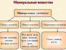 Термостойкий клей для плитки: особенности выбора