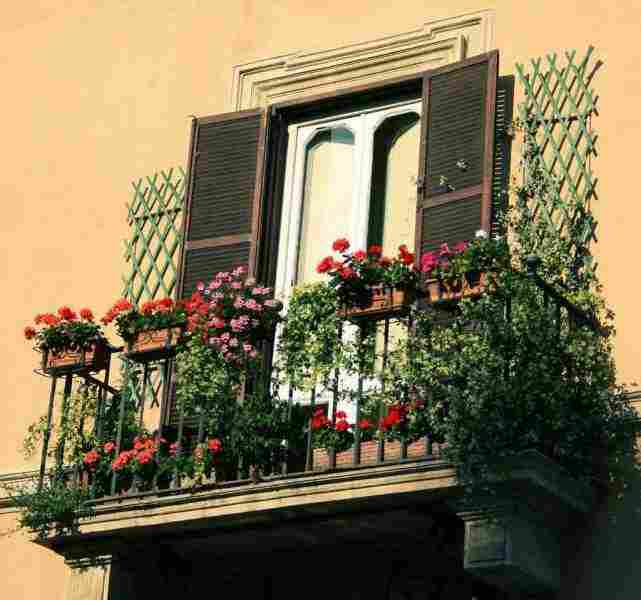 Дизайн с цветами на балконе
