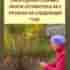 Осенняя подготовка смородины — залог урожая на следующий год. Не завершайте сезон, пока кусты…