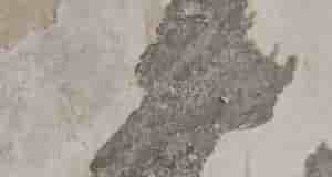 Вопрос к знактокам. Производится ремонт, и есть стены с старыми покрытиями что очень плохо…