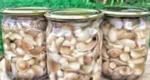 Грибы мариновaнные Этот рeцепт подходит для всех видов грибов и закрываем мы с мамой…