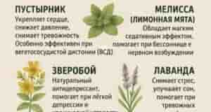 Ты даже не догадывалась о пользе этих растений Обязательно сохрани!