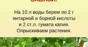 В копилочку