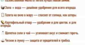 Часть из этих советов стоит взять на заметку, пригодится