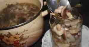 МAРИHAД ДЛЯ ГРИБОВ (Опят, маслят, белых и т. д. ) Такие грибочки даже дети…