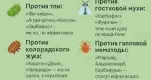 Твоя шпаргалка по защите огорода