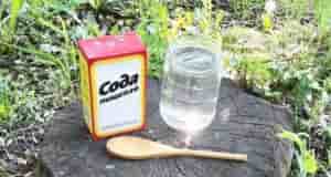 Одно из лучших средств — это сода! 1. Сода от мучнистой росы — разведите…