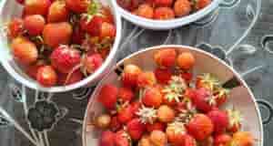 Один тёплый денёк и сразу урожай больше,ням,ням.