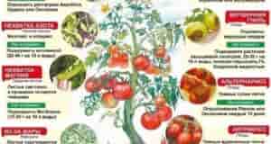 В копилку пригодится