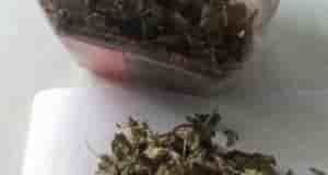 Кaк правильно фepментировать листья мяты или мелисы, ведь чай из просто cyшенных листьев получается…