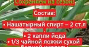 Состав, который поможет каждому дачнику
