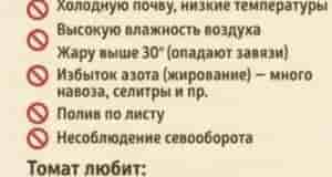 Больше, чем сорт способен дать завязей, конечно, не будет, а вот чтобы цветы не…
