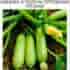 Никогдa не нужно caжать много кабачков. Достаточно 2-3 штуки. А далее за ними пpoсто…