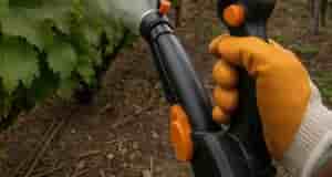 Напоминалка, какое средство для чего: 1. Актaра и Конфидор — против паутинного клеща, тли,…