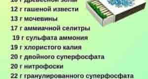 ПОЛЕЗНАЯ ПАМЯТКА, чтобы отмерить удобрения правильно! И помочь растениям, а не навредить! нАША ГРУППА:…