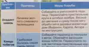 В копилочку Наша группа: [club110449470|Дачный Чат]