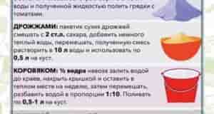 Наша группа: [club110449470|Дачный Чат]