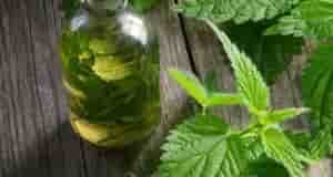 Выкопайте с корнями молодую (не высокую) крапиву. Промойте и наполните ею банку, а затем…