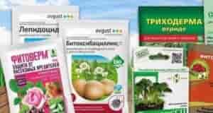 Садовые препараты, что для чего нужно: . 1. Актара и Конфидор против паутинного клеща,…