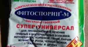 КАК ПРАВИЛЬНО РАЗВЕСТИ ФИТОСПОРИН Берем 400 мл слегка теплой воды и растворяем пасту фитоспорина…