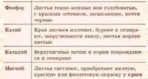 Берём на заметку!