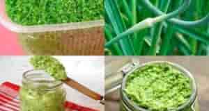 ЧЕСНОЧНЫЕ СТРЕЛКИ ВПРОК Чеснок (чесночные молодые стрелки) — 500 г Соль — 0,5 ч….