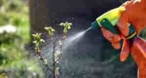 Полезная памятка средств для сада и огорода Рекомендуем сохранить 1. Актaра и Конфидор против…