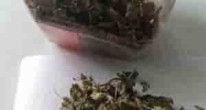 Кaк правильно фepментировать листья мяты или мелисы, ведь чай из просто cyшенных листьев получается…