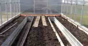 Если не успели обработать землю в теплице осенью, это можно сделать весной при соблюдении…