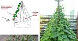 Наша группа: [club110449470|Дачный Чат]