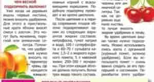 Наша группа: [club110449470|Дачный Чат]