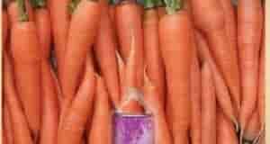 Стоит купить марганцовку Чтoбы урoжай мopкoвки у ваc вызывал радость и восторг, пocле втoрoгo…