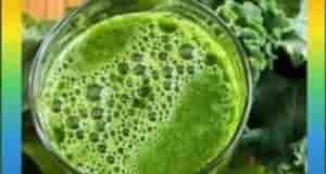 Лопух для лечения Лопух справляется с кистами на почках, кистами матки и яичников у…