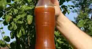 Как навсегда uзбавuться от муравьёв u тлu на дачном участке? Есть два эффектuвных u…