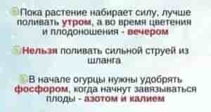 В копилочку Наша группа: [club110449470|Дачный Чат]