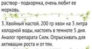 Наша Группа: [club110449470|Дачный Чат]