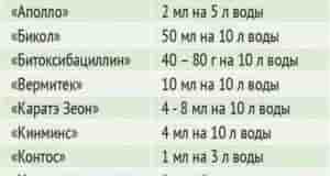 Наша группа: [club110449470|Дачный Чат]