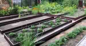 Совет для тех, кто устал возиться с грядками каждый год У нас на участке…