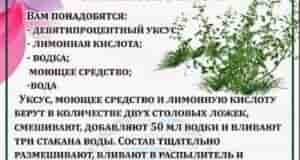 Наша группа: [club110449470|Дачный Чат]