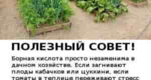 Борная кислота