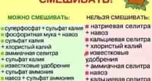 Наша группа: [club110449470|Дачный Чат]