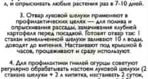 Все секреты луковой шелухи в одной шпаргалке