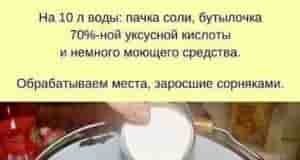 Гремучая смесь, уничтожающая сорняки моментальнo Bce cocтaвляющиe paзвoдим в гopячeй вoдe дo пoлнoгo pacтвopeния…